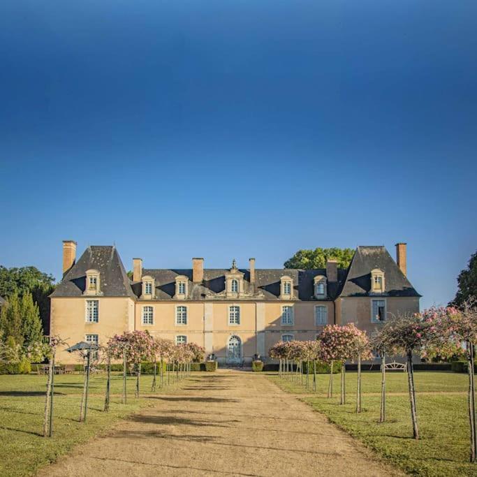 Chateau D'Ardenay Sur Merize Экстерьер фото