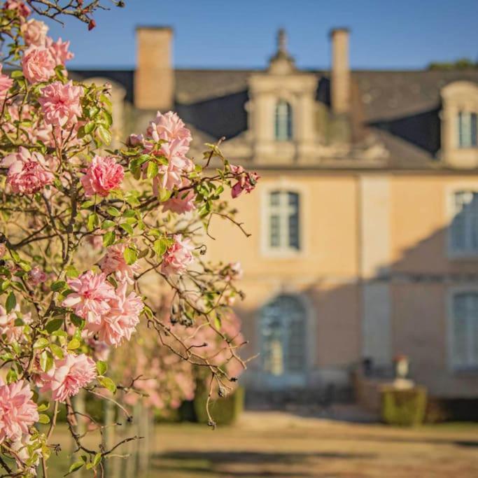Chateau D'Ardenay Sur Merize Экстерьер фото