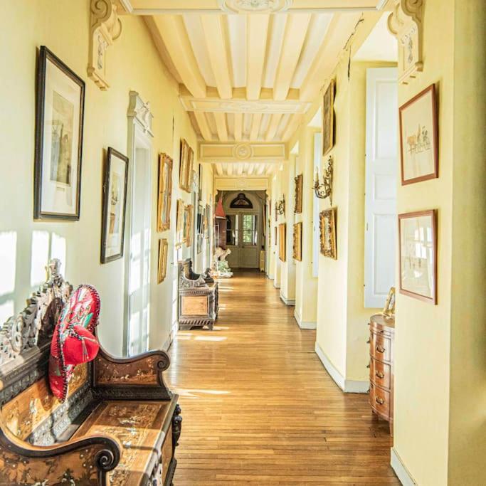 Chateau D'Ardenay Sur Merize Экстерьер фото