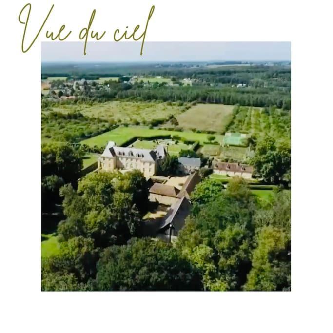 Chateau D'Ardenay Sur Merize Экстерьер фото