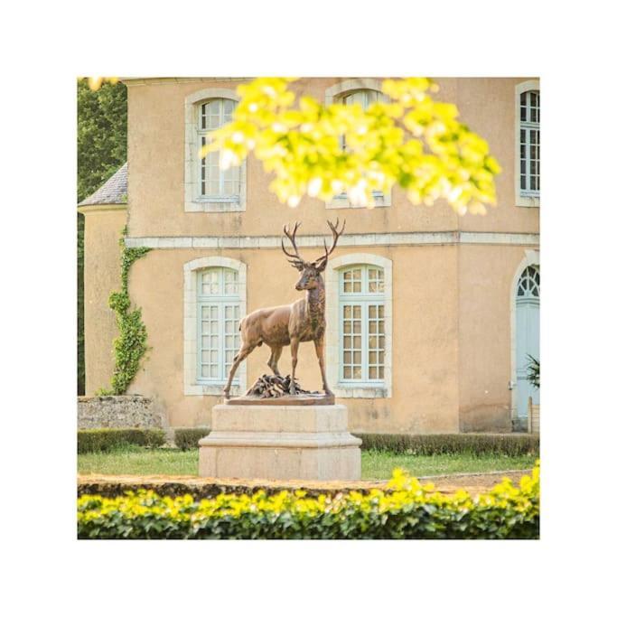 Chateau D'Ardenay Sur Merize Экстерьер фото